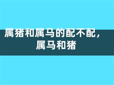 属猪和属马的配不配，属马和猪