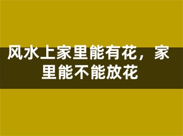 风水上家里能有花，家里能不能放花