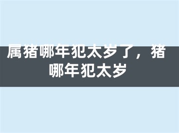 属猪哪年犯太岁了，猪哪年犯太岁