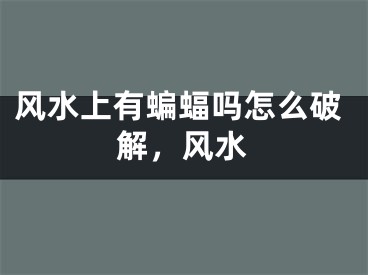 风水上有蝙蝠吗怎么破解，风水