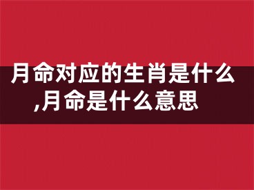 月命对应的生肖是什么,月命是什么意思