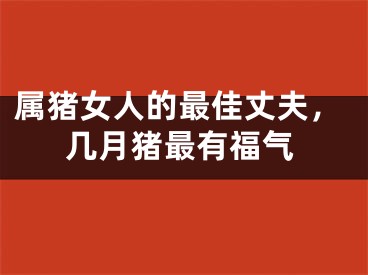 属猪女人的最佳丈夫，几月猪最有福气