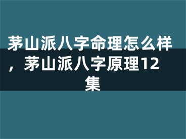 茅山派八字命理怎么样，茅山派八字原理12集