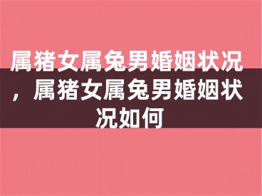 属猪女属兔男婚姻状况，属猪女属兔男婚姻状况如何