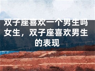双子座喜欢一个男生吗女生，双子座喜欢男生的表现