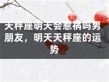天秤座明天会惹祸吗男朋友,明天天秤座的运势