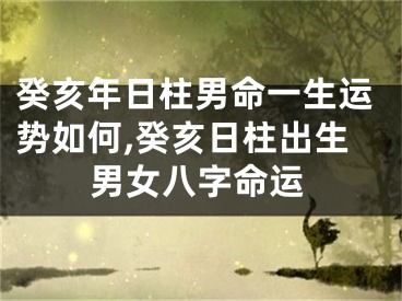癸亥年日柱男命一生运势如何,癸亥日柱出生男女八字命运
