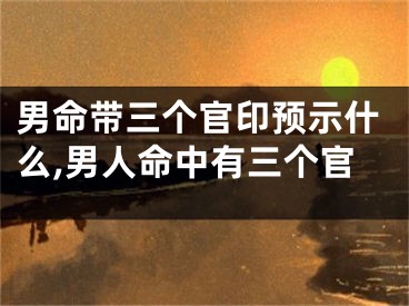 男命带三个官印预示什么,男人命中有三个官