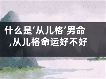 什么是‘从儿格’男命,从儿格命运好不好