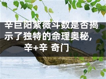 辛巨阳紫薇斗数是否揭示了独特的命理奥秘,辛+辛 奇门