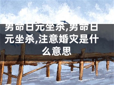 男命日元坐杀,男命日元坐杀,注意婚灾是什么意思
