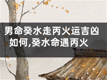 男命癸水走丙火运吉凶如何,癸水命遇丙火