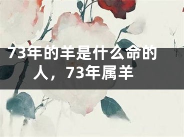 73年的羊是什么命的人,73年属羊