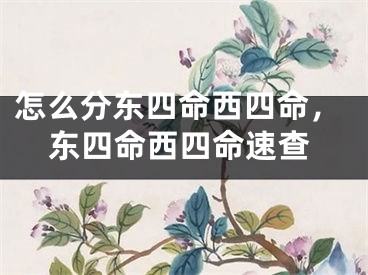 怎么分东四命西四命，东四命西四命速查