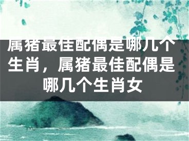 属猪最佳配偶是哪几个生肖，属猪最佳配偶是哪几个生肖女