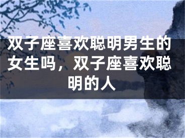 双子座喜欢聪明男生的女生吗,双子座喜欢聪明的人