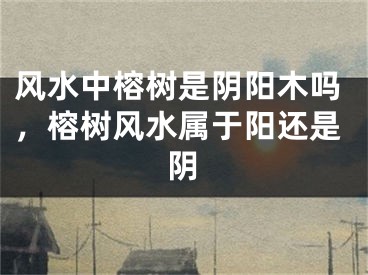 风水中榕树是阴阳木吗，榕树风水属于阳还是阴