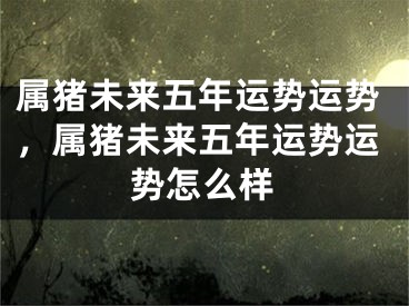 属猪未来五年运势运势，属猪未来五年运势运势怎么样