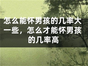 怎么能怀男孩的几率大一些，怎么才能怀男孩的几率高