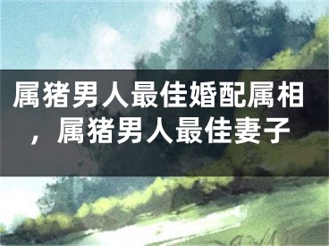 属猪男人最佳婚配属相，属猪男人最佳妻子