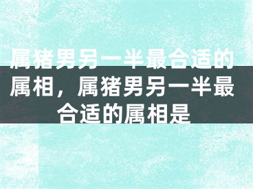 属猪男另一半最合适的属相，属猪男另一半最合适的属相是