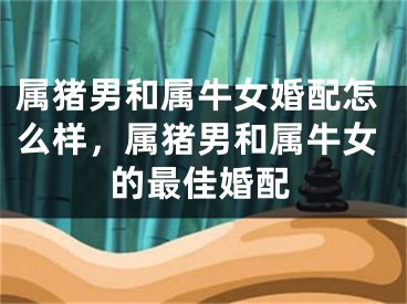 属猪男和属牛女婚配怎么样，属猪男和属牛女的最佳婚配