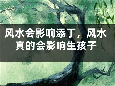 风水会影响添丁，风水真的会影响生孩子