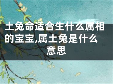 土兔命适合生什么属相的宝宝,属土兔是什么意思