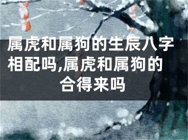 属虎和属狗的生辰八字相配吗,属虎和属狗的合得来吗