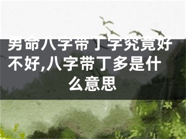 男命八字带丁字究竟好不好,八字带丁多是什么意思