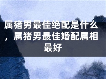属猪男最佳绝配是什么，属猪男最佳婚配属相最好