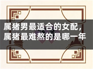 属猪男最适合的女配，属猪最难熬的是哪一年