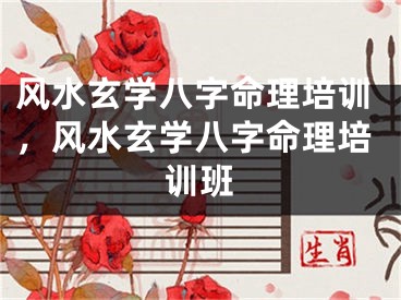 风水玄学八字命理培训，风水玄学八字命理培训班