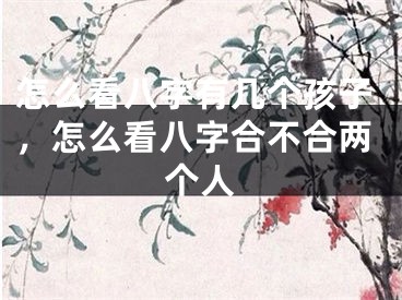 怎么看八字有几个孩子，怎么看八字合不合两个人