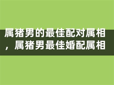 属猪男的最佳配对属相，属猪男最佳婚配属相