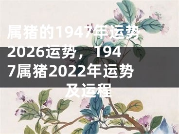 属猪的1947年运势2026运势，1947属猪2022年运势及运程