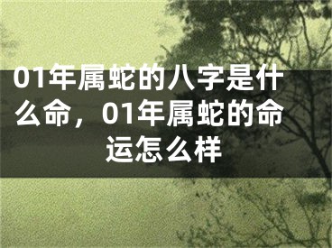 01年属蛇的八字是什么命，01年属蛇的命运怎么样
