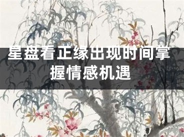 星盘看正缘出现时间掌握情感机遇