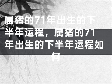属猪的71年出生的下半年运程，属猪的71年出生的下半年运程如何