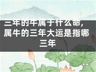 三年的牛属于什么命,属牛的三年大运是指哪三年
