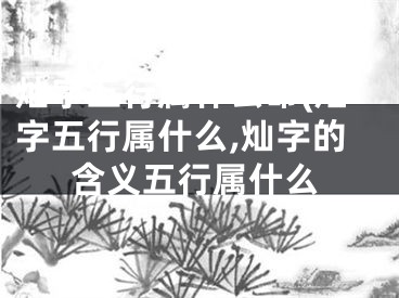 灿字五行属什么命(灿字五行属什么,灿字的含义五行属什么