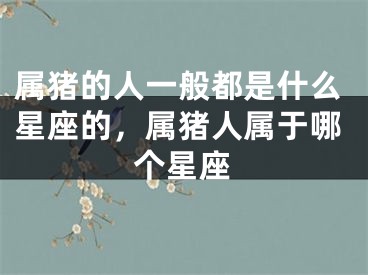属猪的人一般都是什么星座的，属猪人属于哪个星座
