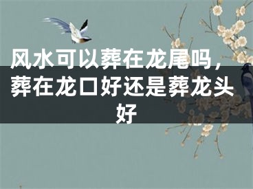 风水可以葬在龙尾吗,葬在龙口好还是葬龙头好