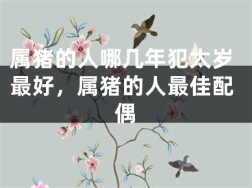 属猪的人哪几年犯太岁最好，属猪的人最佳配偶