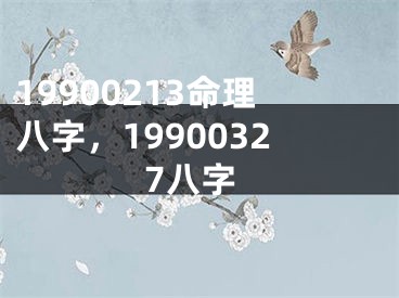 19900213命理八字，19900327八字