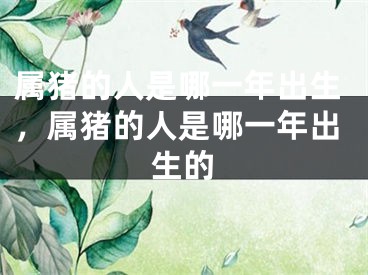 属猪的人是哪一年出生，属猪的人是哪一年出生的