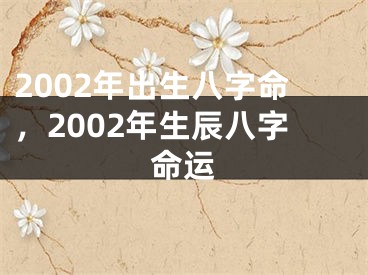 2002年出生八字命，2002年生辰八字命运
