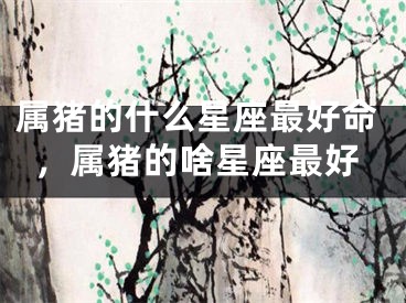 属猪的什么星座最好命,属猪的啥星座最好