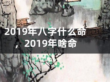 2019年八字什么命，2019年啥命
