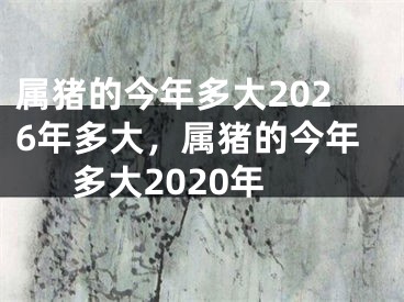 属猪的今年多大2026年多大,属猪的今年多大2020年
